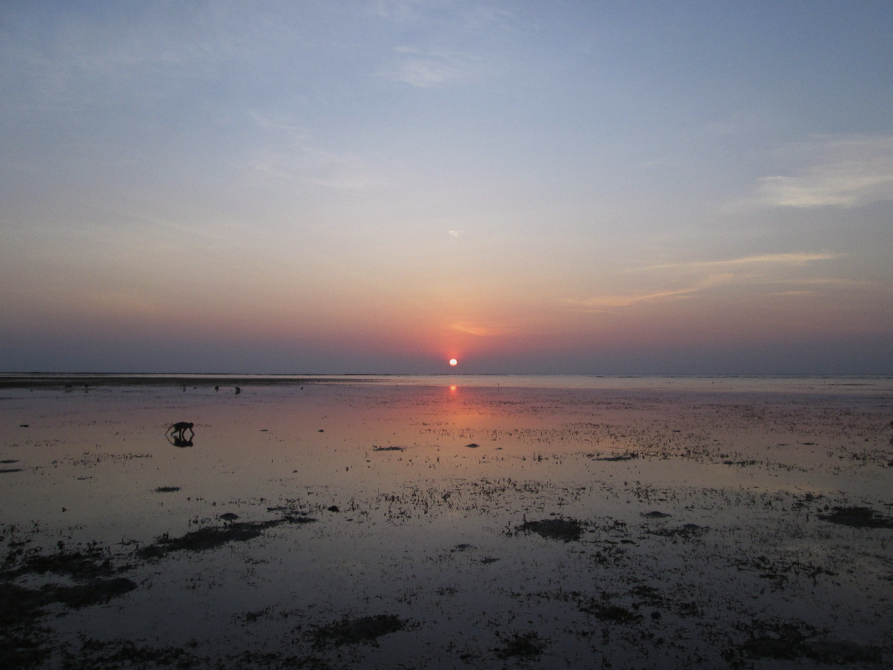 Indahnya matahari terbit di Pantai Bama (c) Anjani Audita/Travelingyuk