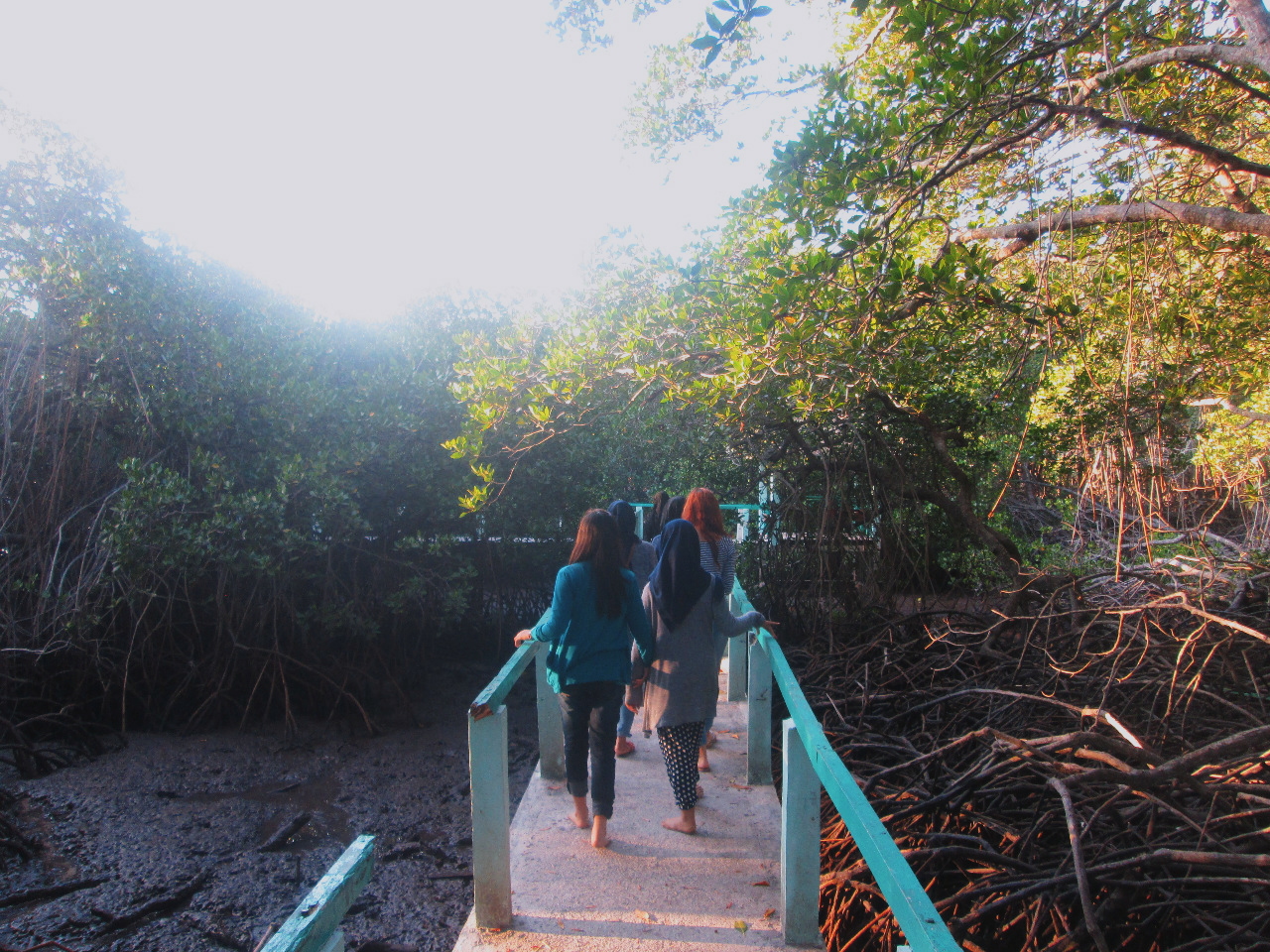 Jembatan Hutan Mangrove (c) Anjani Audita/Travelingyuk