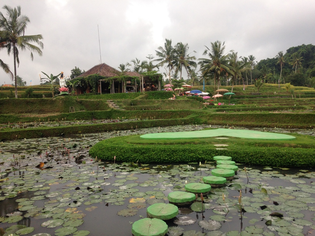 Green Kubu Ubud, Asyiknya Makan di Tengah Persawahan Bali