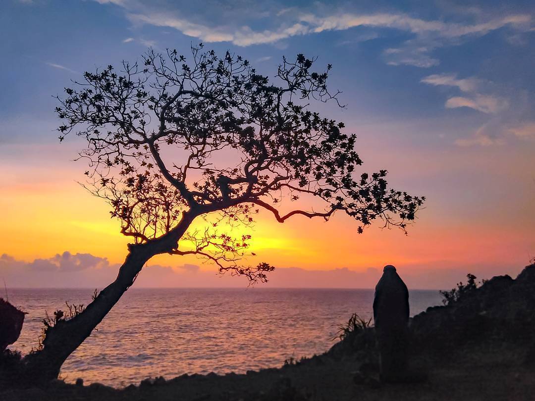 Pohon yang jadi ciri khas Kesirat via Instagram jogjakartaid