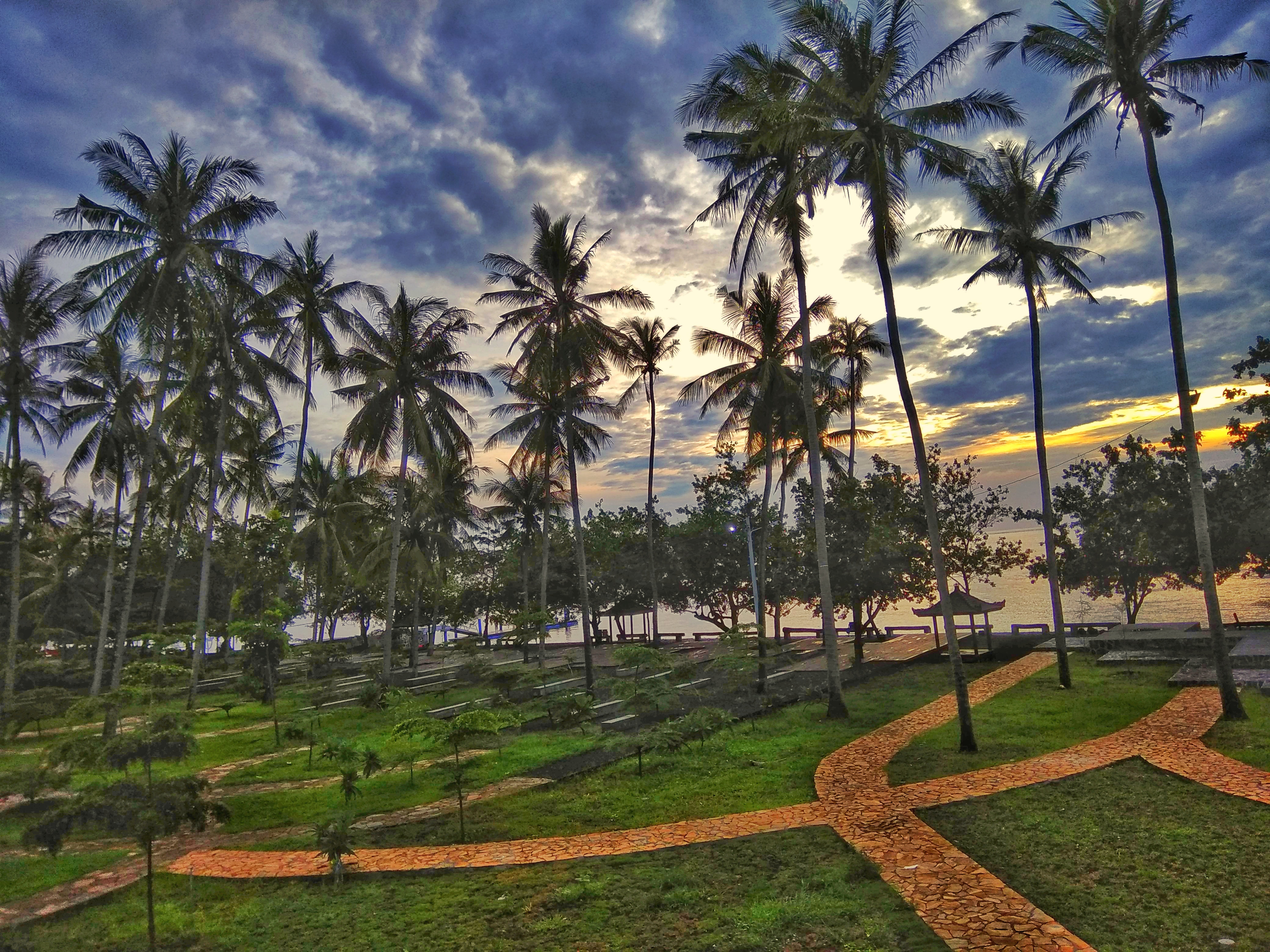 Suasana Pantai Grand Watu Dodol dengan pohon kelapa yang menjulang tinggi