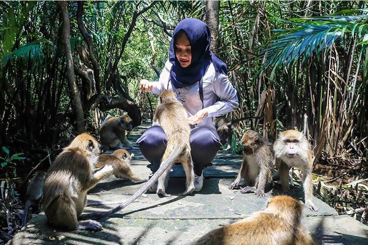 Bermain bersama monyet di pulau kembang via instagram/@azzamphoto