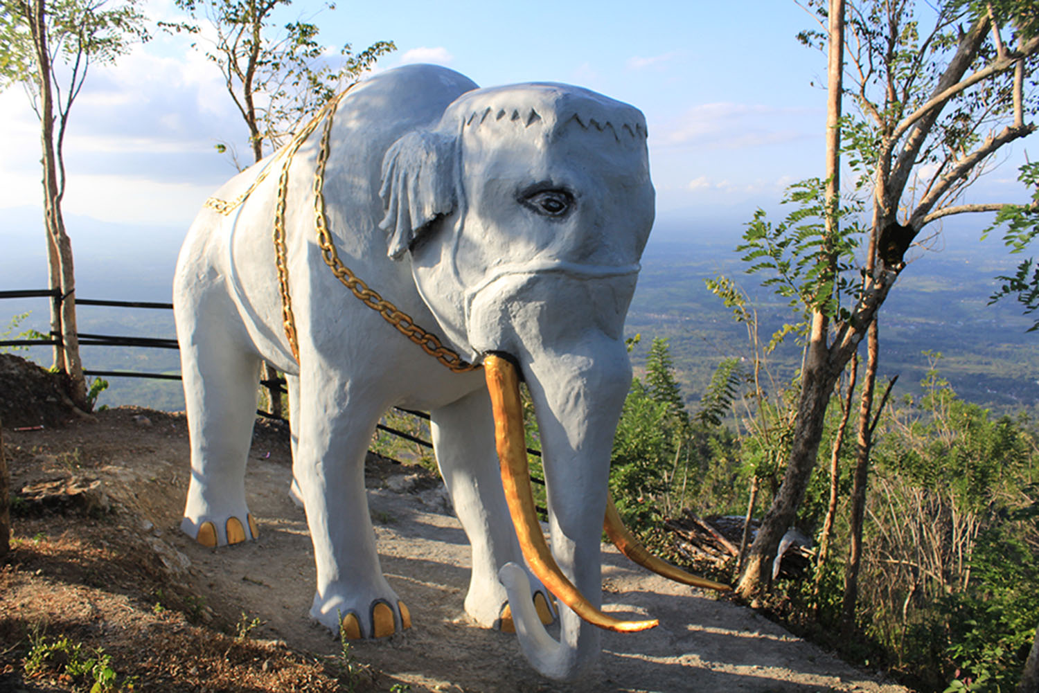 Pesona Gajah Mungkur diatas Bukit di Magelang