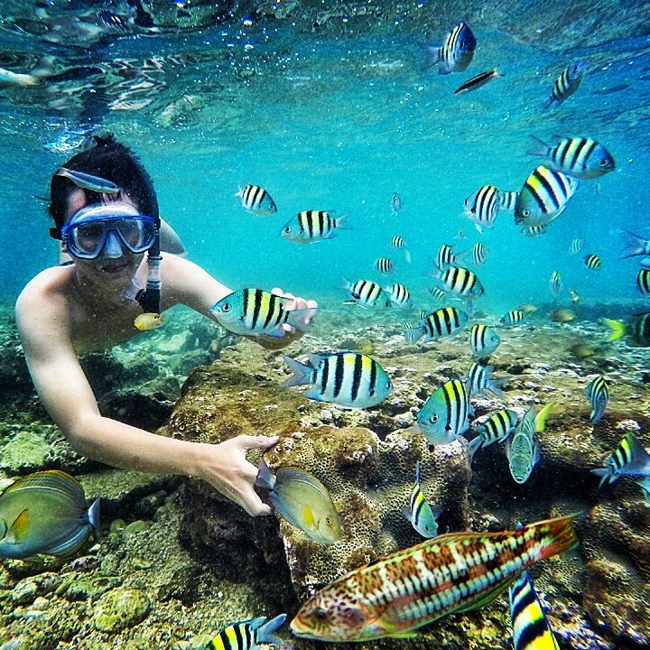 Snorkeling di Nglambor via Instagram iqbalptraa