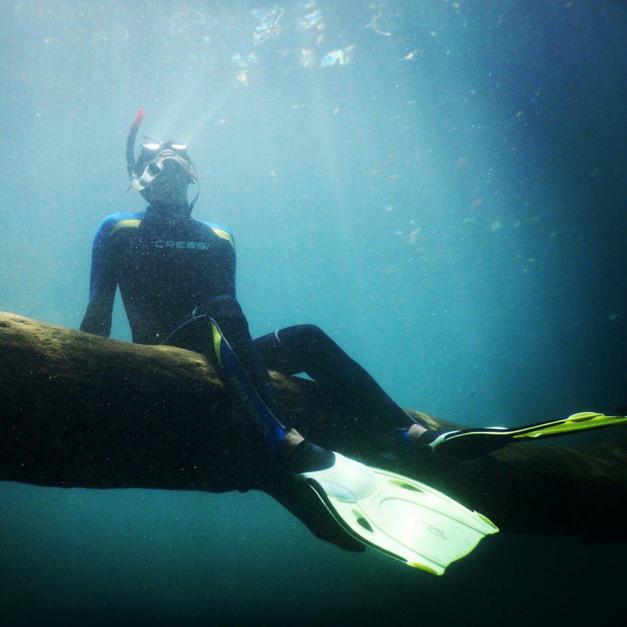 Snorkeling di sumber mata air Malang