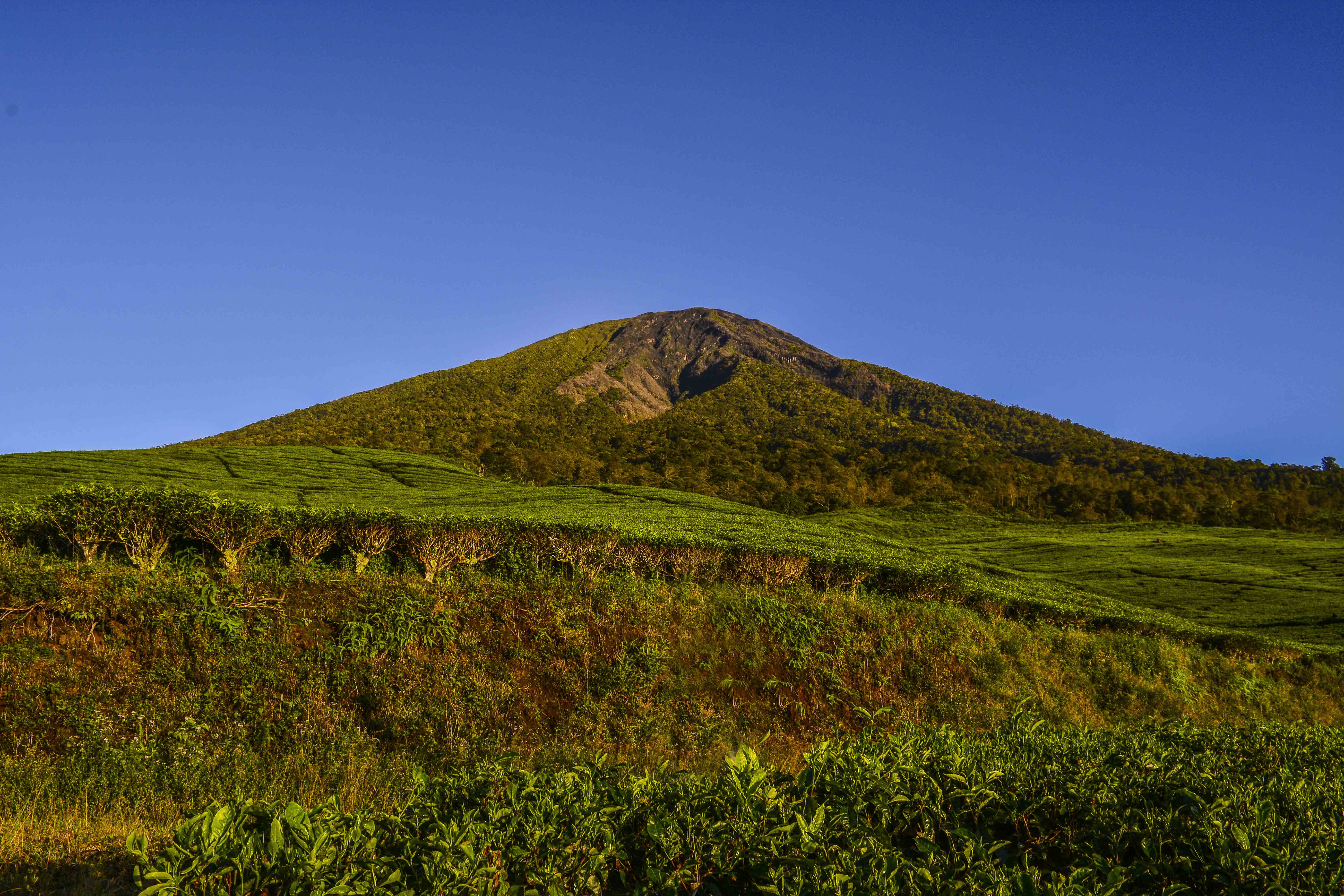 Puncak Gunung Dempo (dok.pribadi)