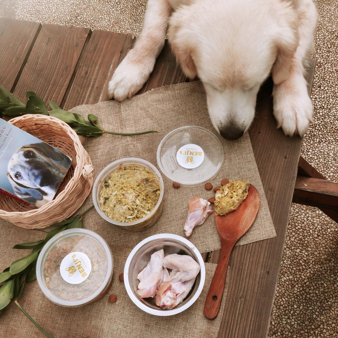 Produk raw food dengan berbagai bahan pilihan untuk anjingmu - via instagram/@pawviliondogcafe