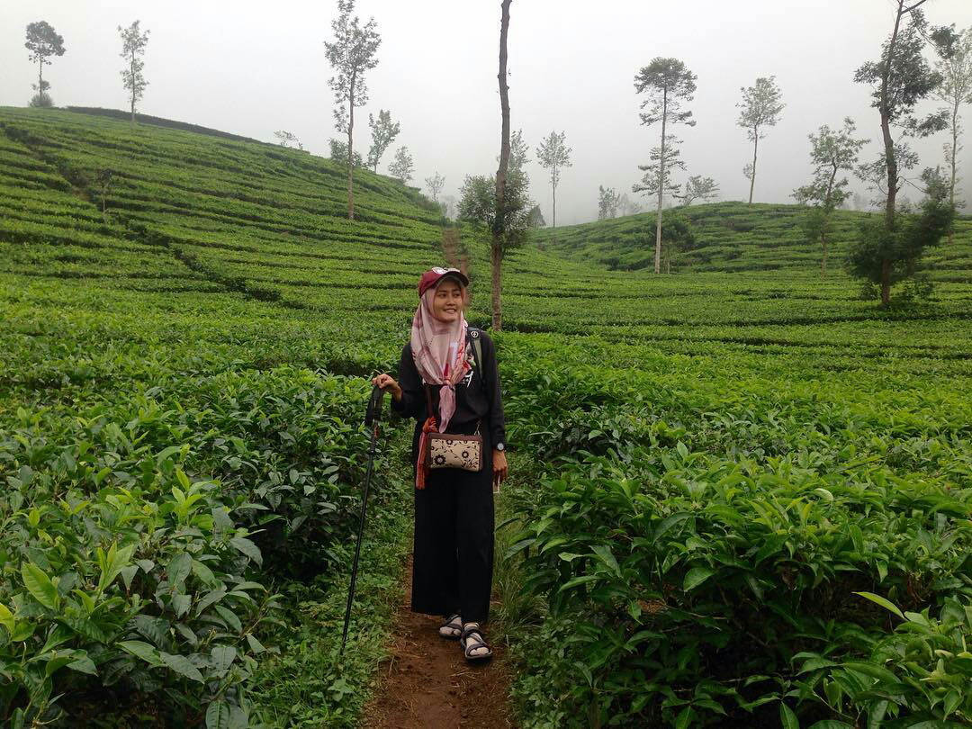 Perjalanan awal gunung Kembang, di awali dengan melalui perkebunan teh IG @nhaa_ndutt