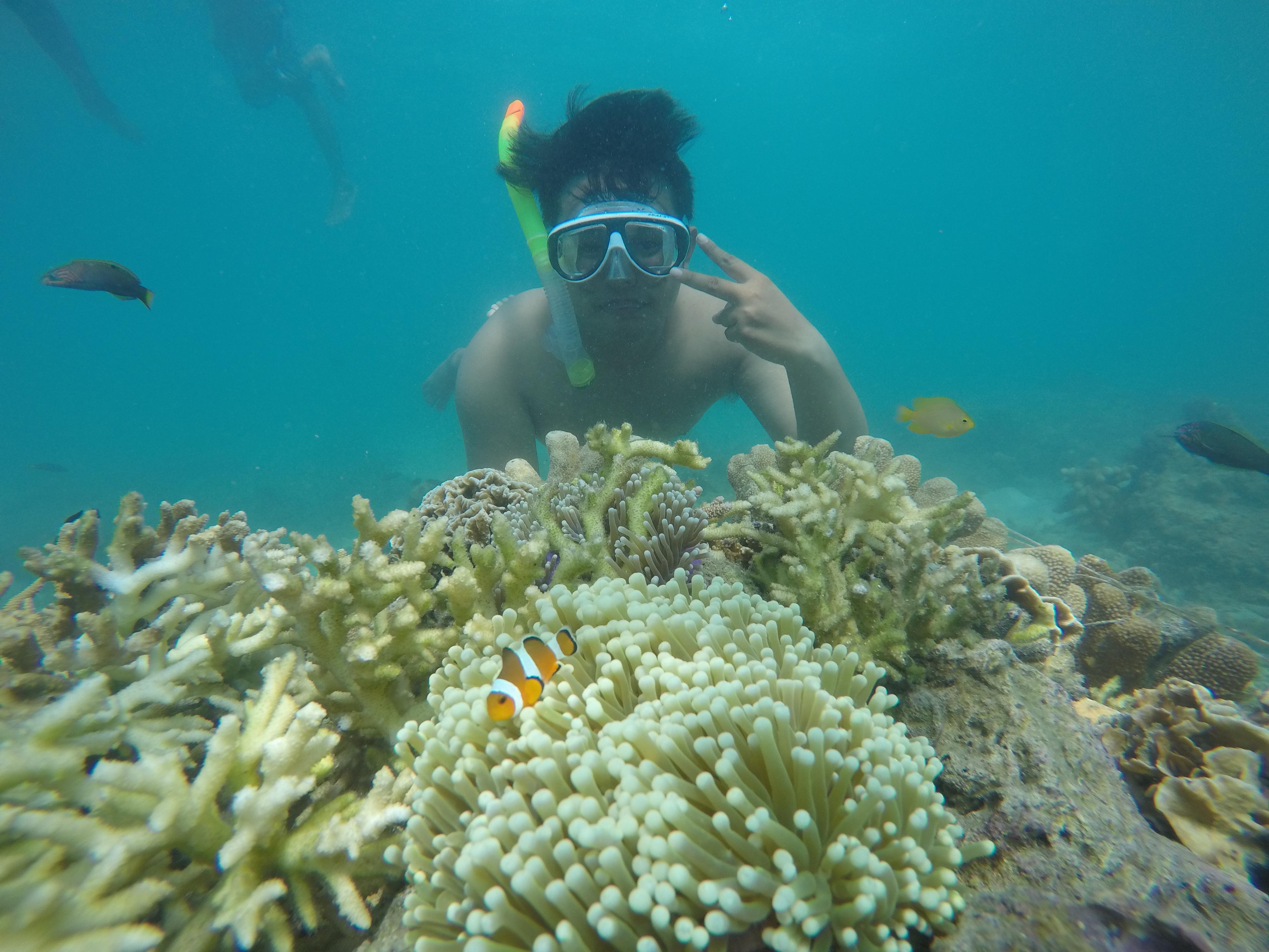Spot foto underwater GIli Ketapang