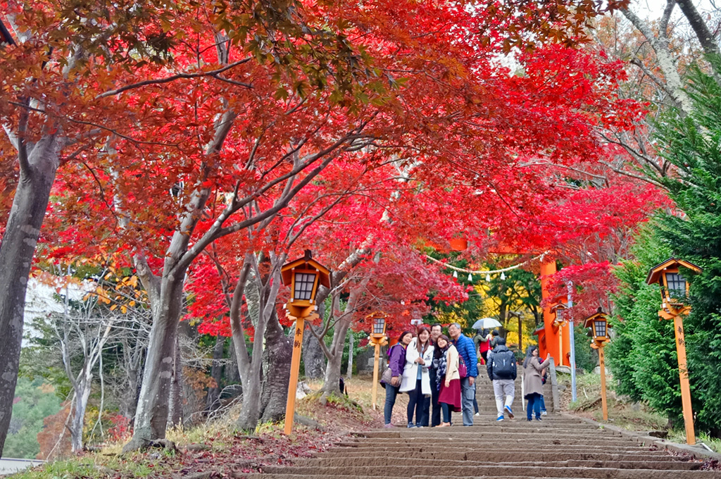 Suasana musim gugur di Chureito Pagoda, tak jauh dari Danau Kawaguchiko