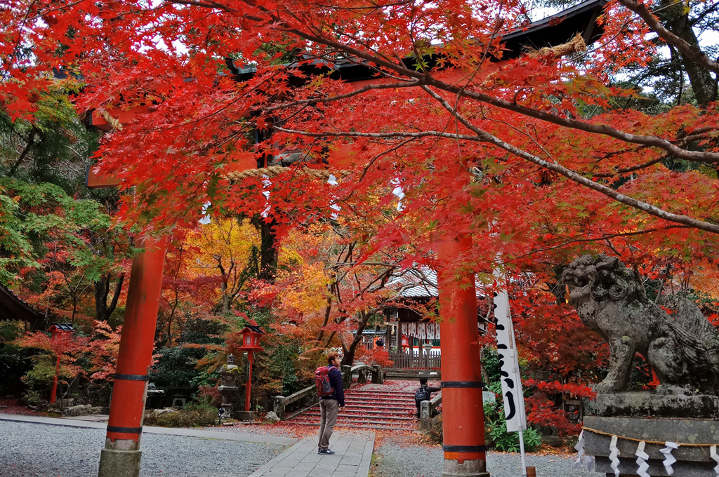 Suasana musim gugur di Ryoonji Temple, Funasaka, Kyoto