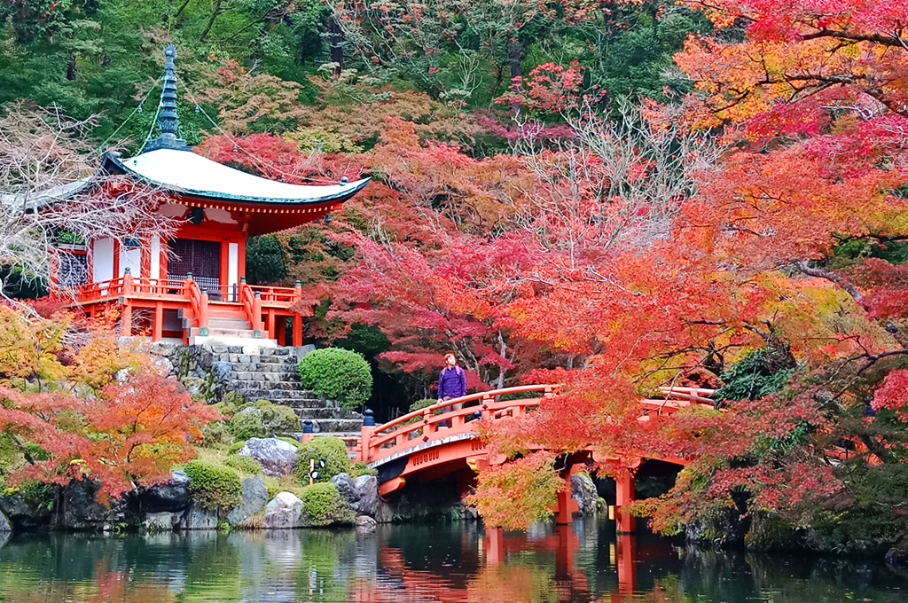 Daigoji, landscape danau dan kuil paling populer di Jepang saat musim gugur