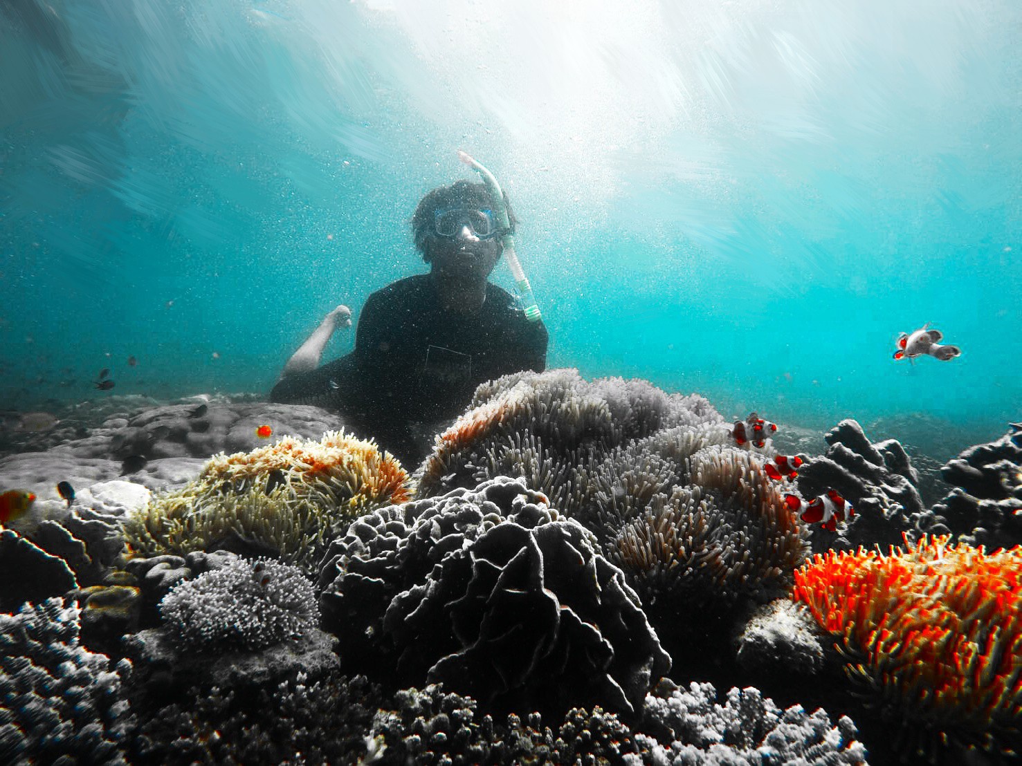 Pemandangan bawah laut Gili ketapang (c) Haris Kurniawan/Travelingyuk